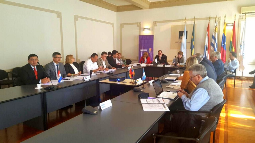 plenaria recm