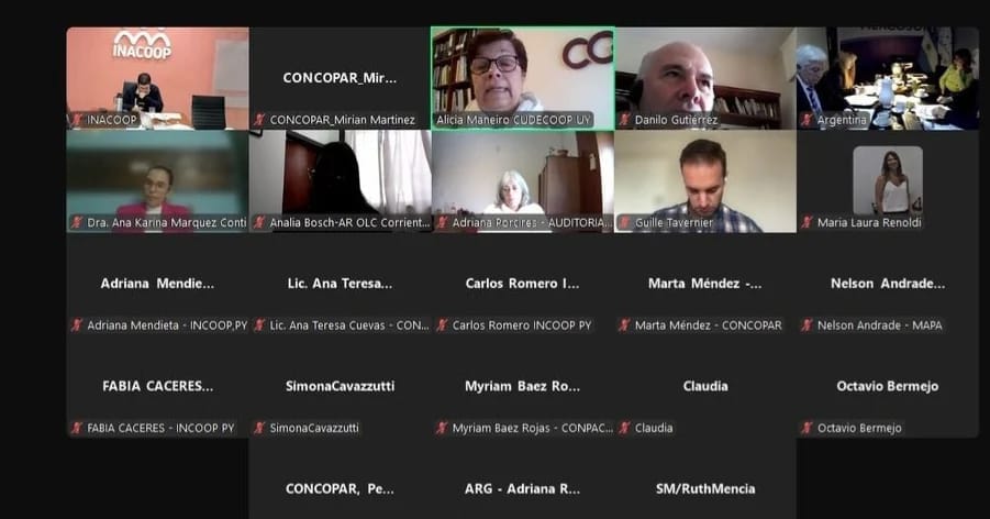 Sesión Plenaria RECM