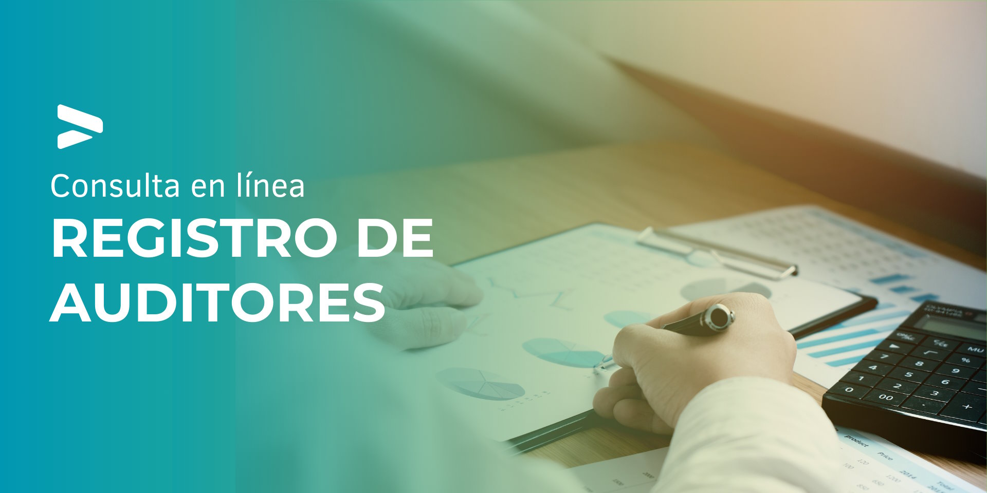 REGISTRO DE AUDITORES