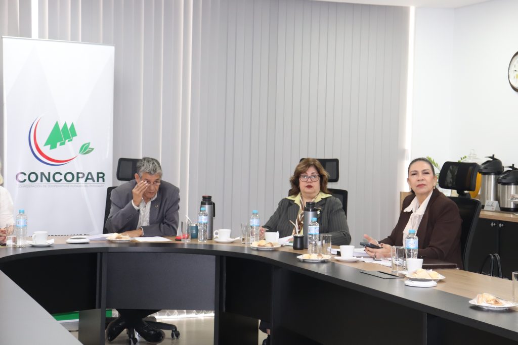 Sesión Plenaria de la RECM, con foco en la integración y desarrollo cooperativo regional.