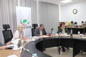Prensa INCOOP