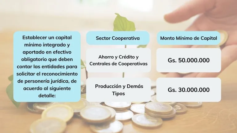 asignacion-de-capital